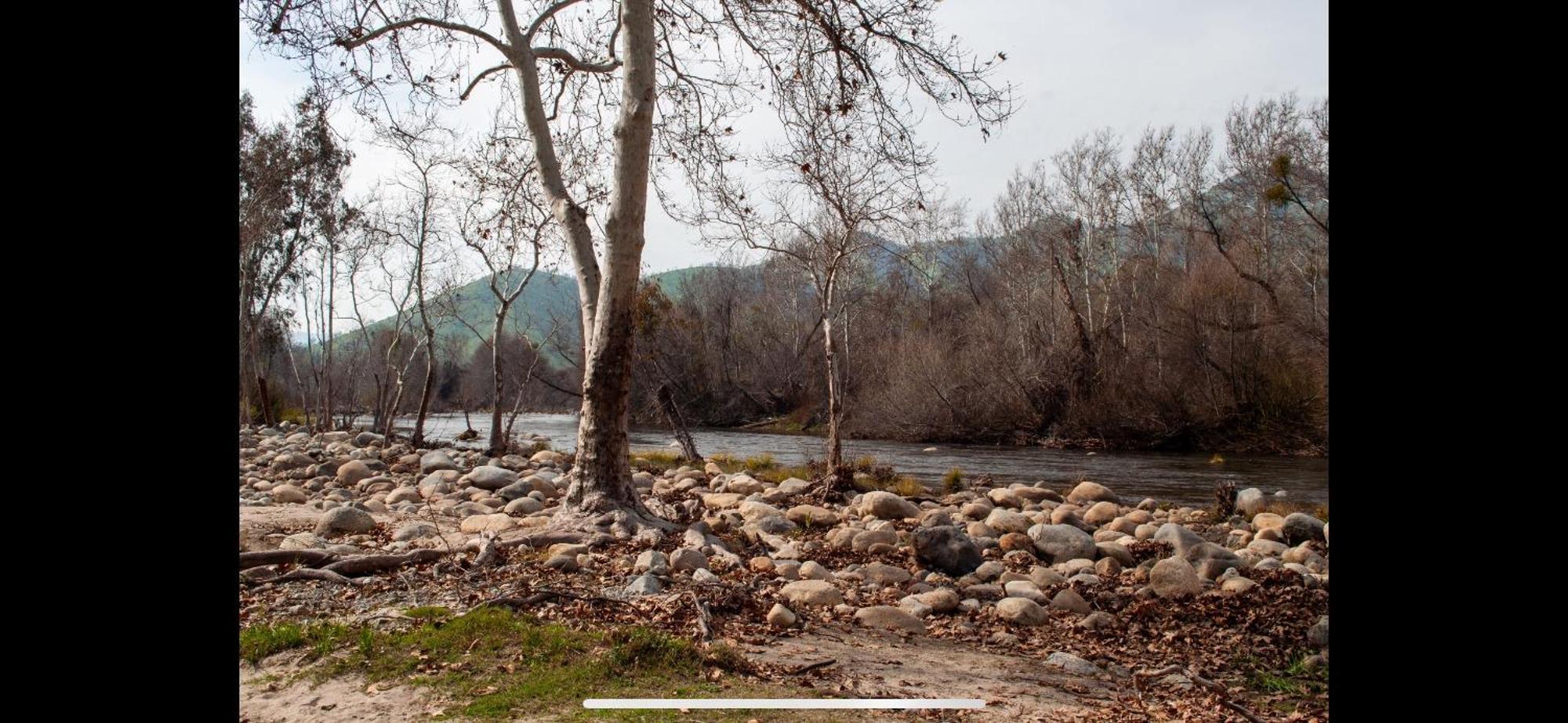 Sequoia River Front Cabins Three Rivers Exterior photo