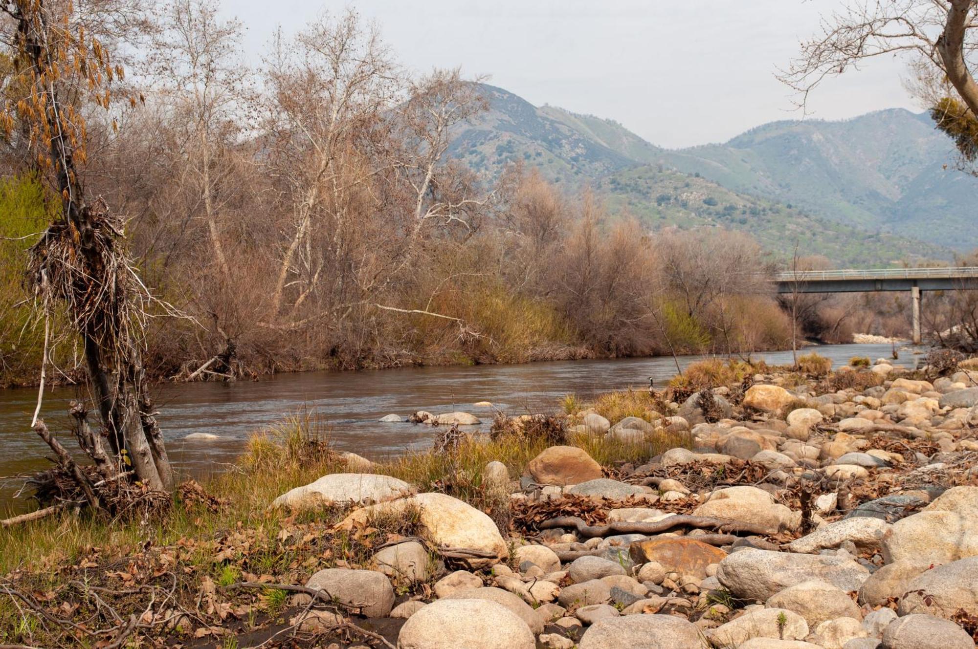 Sequoia River Front Cabins Three Rivers Exterior photo