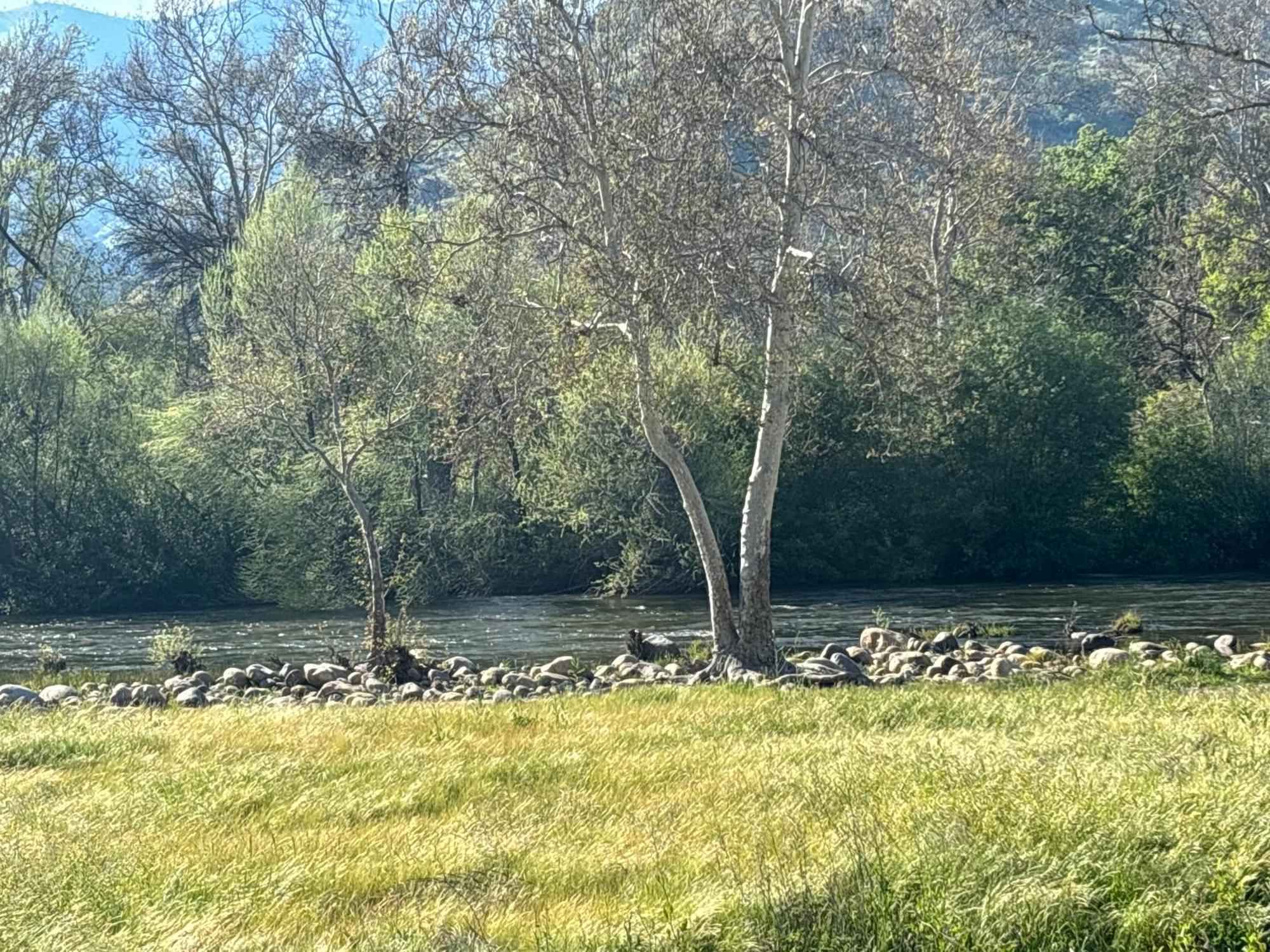 Sequoia River Front Cabins Three Rivers Exterior photo